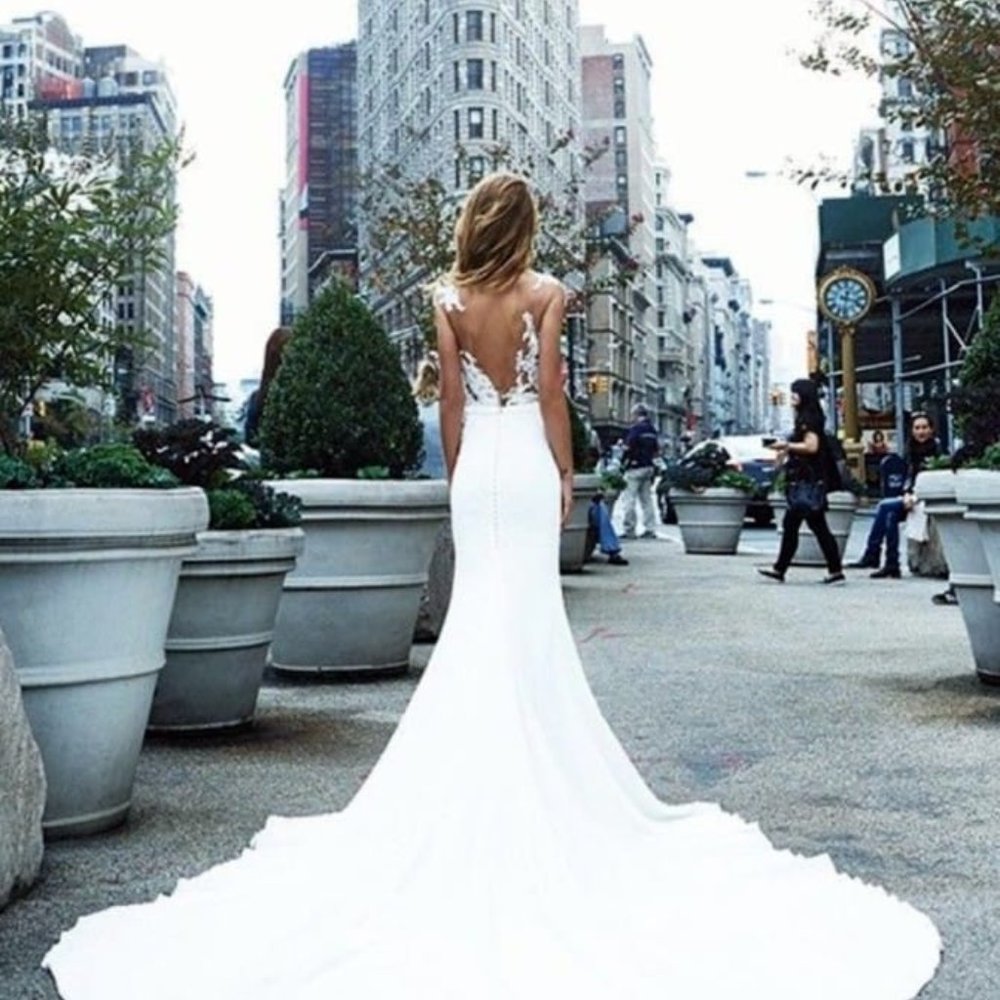 Pronovias Vicenta Wedding Dress